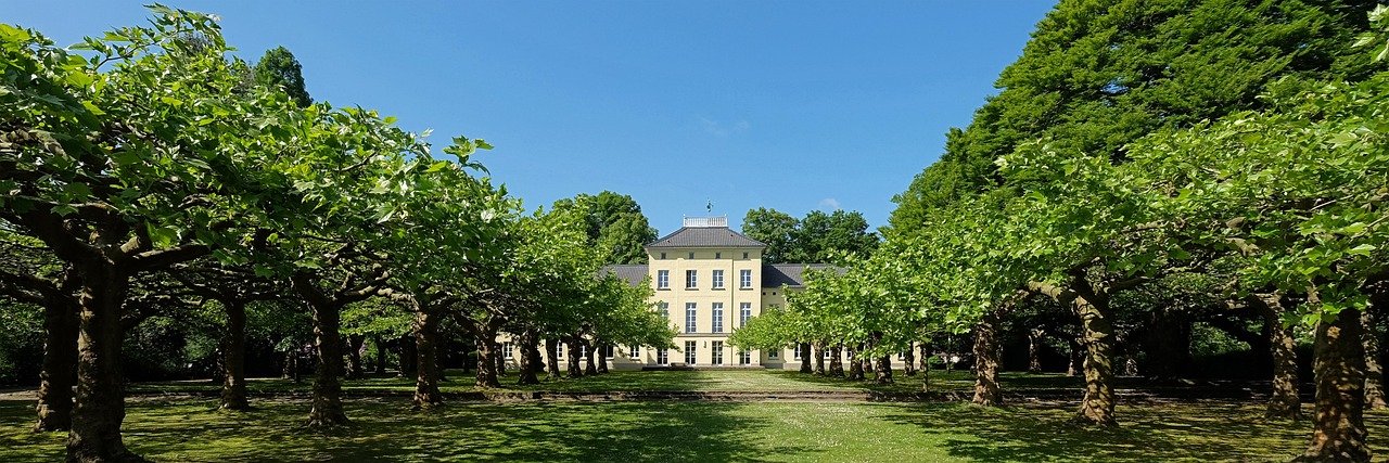 krefeld, park, allee, oppum, baumallee, garten, bäume, natur, weg, grün, schlosspark, anlage, krefeld, krefeld, krefeld, kref