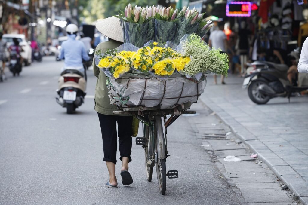 hanoi hauptstadt, hanoi blumen, flower street vietnam, hanoi street, hanoi menschen, fahrrad in hanoi, zu verkaufen in straße